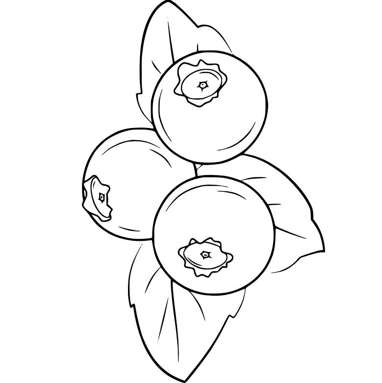 Borůvka tisknutelné pro děti omalovánka