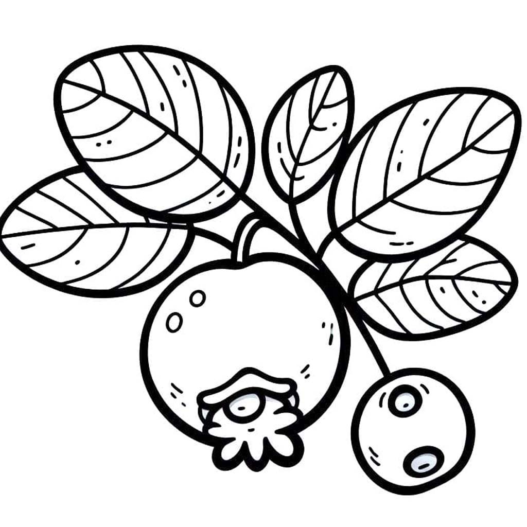 Borůvka základní tisknutelné omalovánka