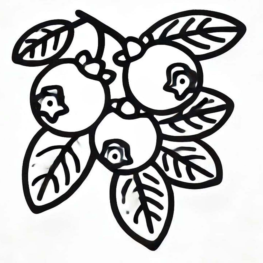 Borůvka zdarma prostý omalovánka