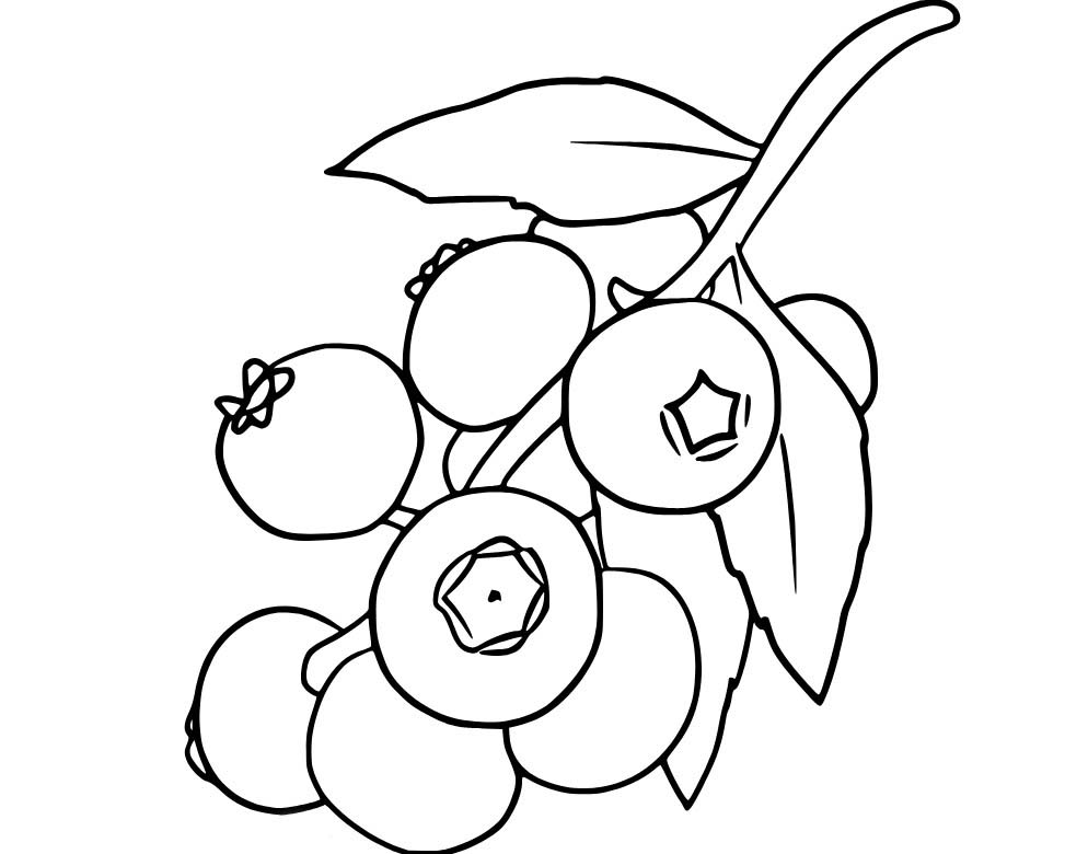 Borůvka zdarma tisknutelné pro děti omalovánka