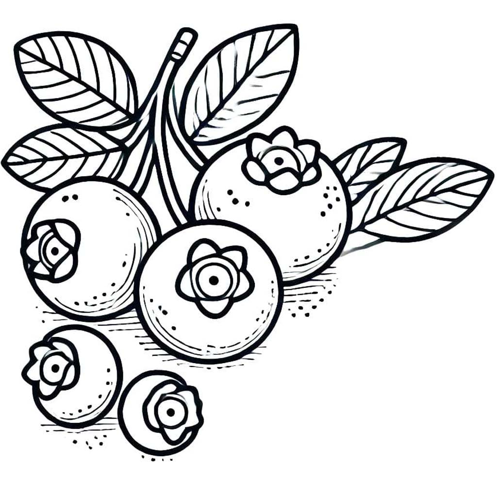 Borůvka zdarma základní omalovánka