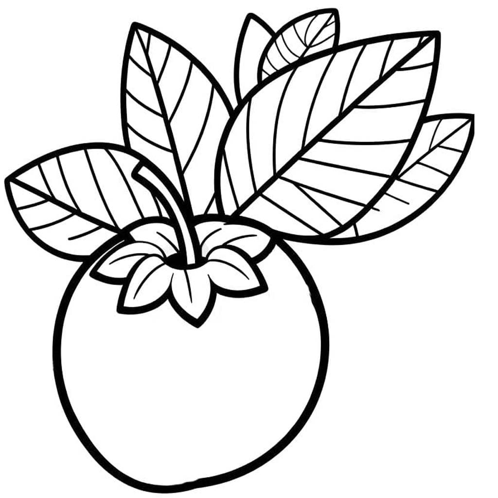 Borůvka zdarma omalovánka