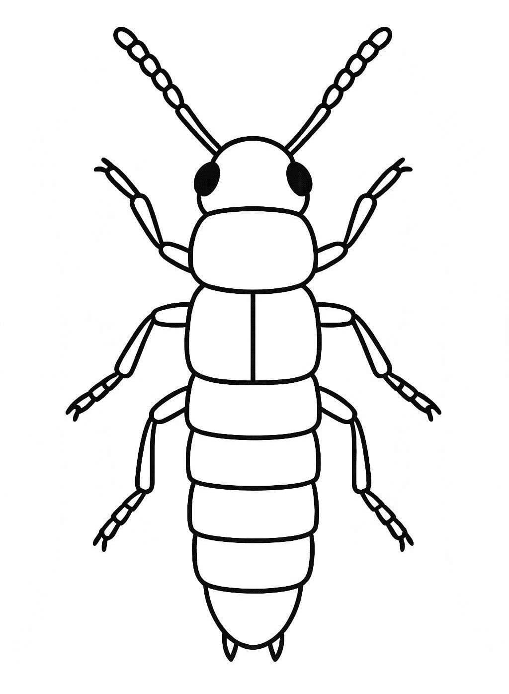 Brouci 3 omalovánka
