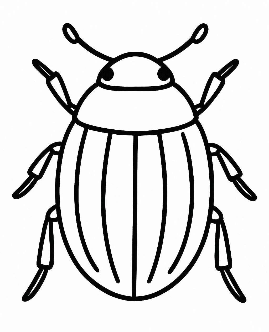 Brouci 5 omalovánka