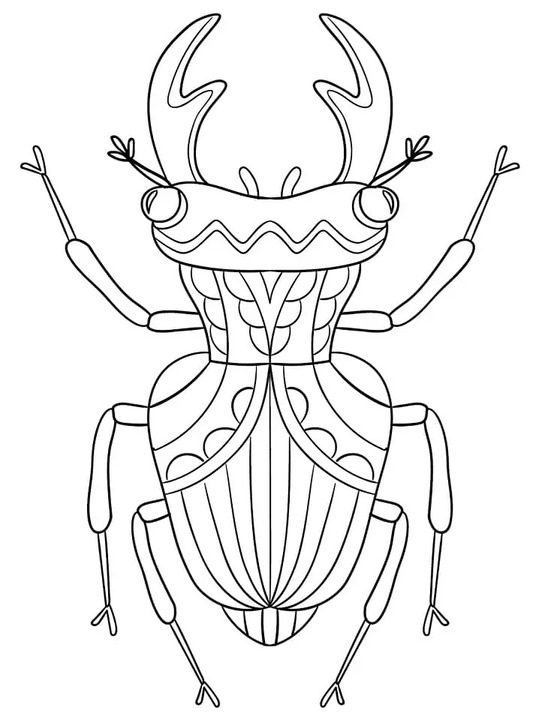 Brouci tisknutelné omalovánka