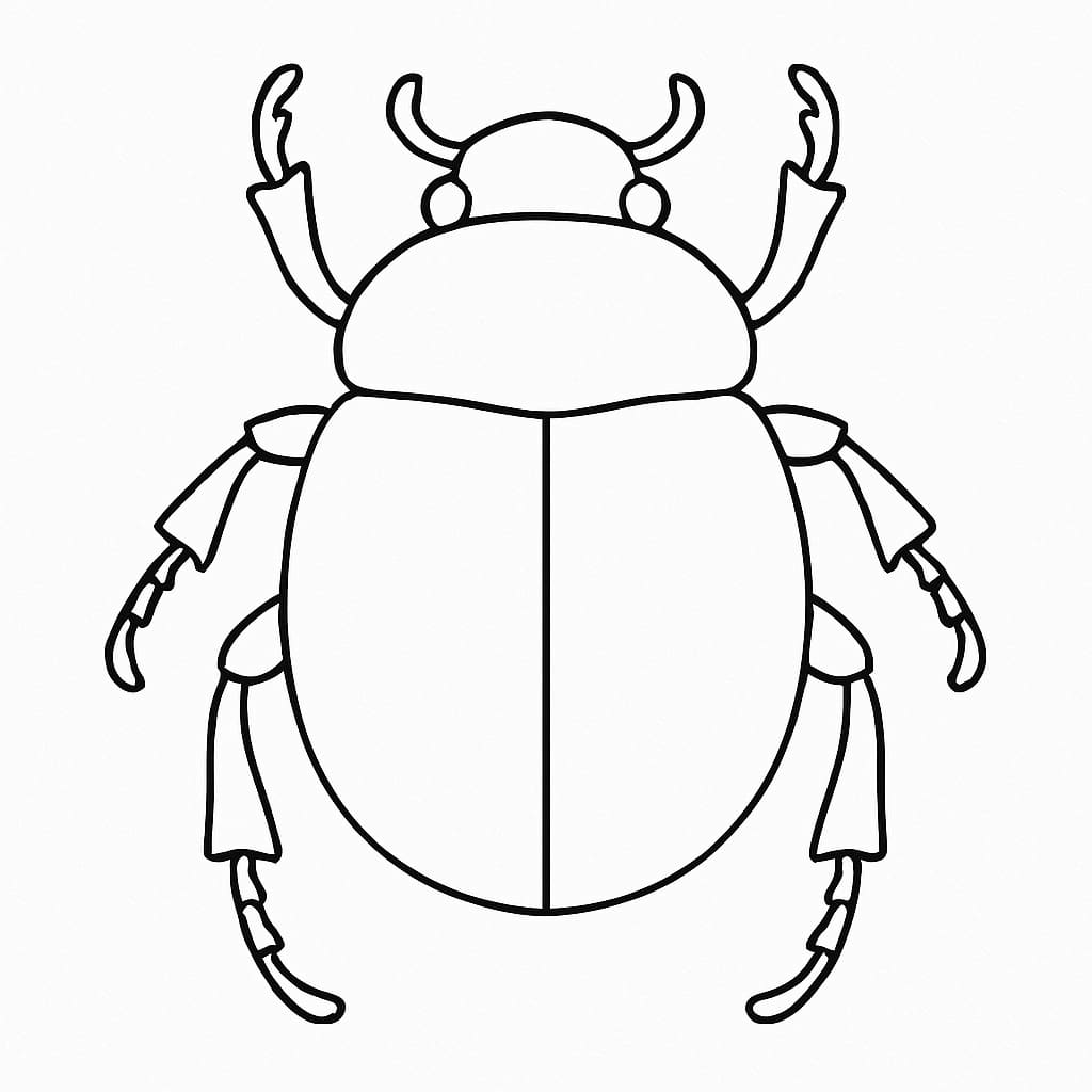 Brouci zdarma základní omalovánka