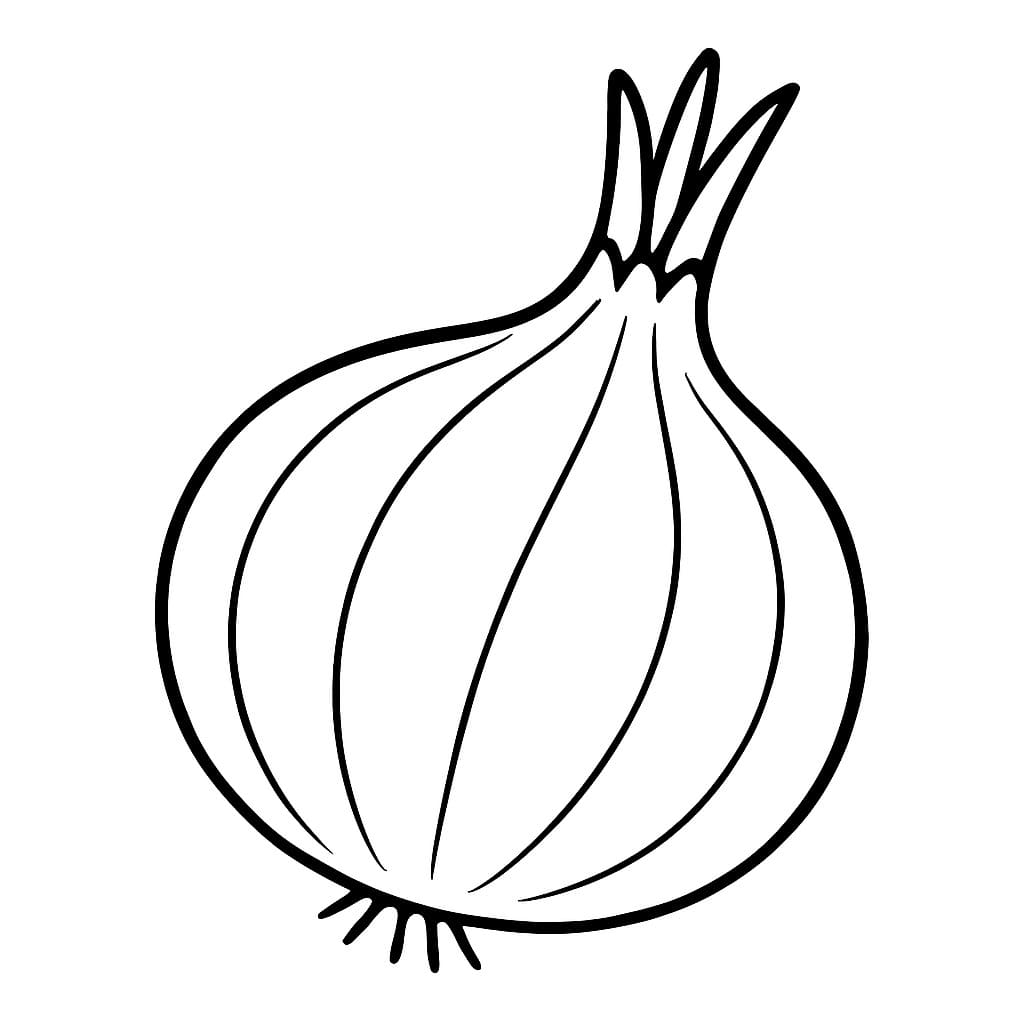 Cibule 6 omalovánka