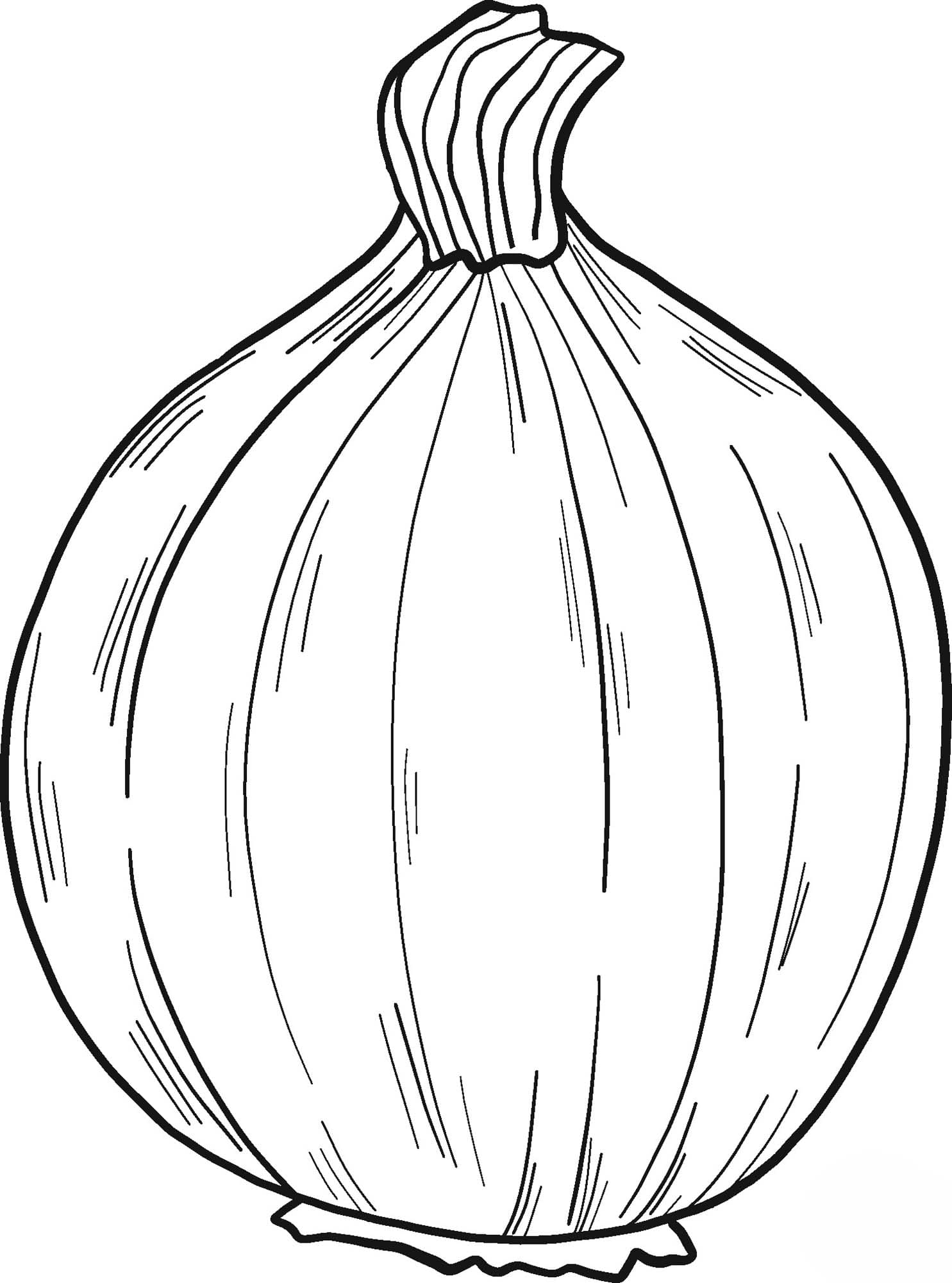 Cibule k vytisknutí omalovánka