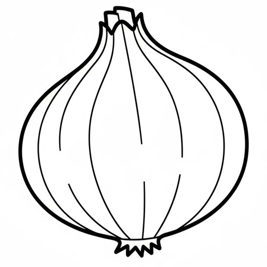 Cibule prostý tisknutelné omalovánka