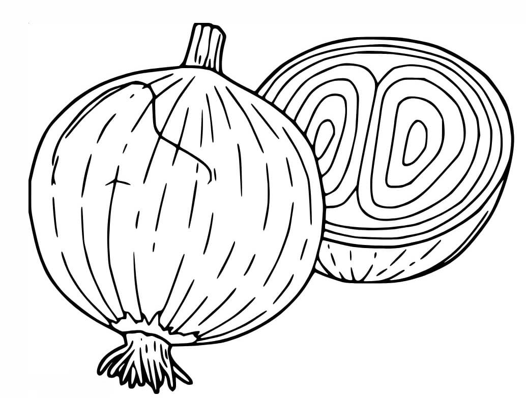 Cibule tisknutelné pro děti omalovánka