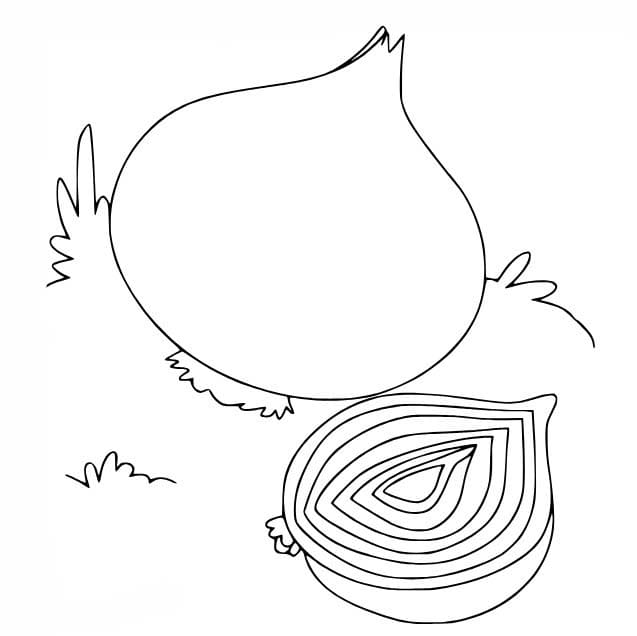 Cibule tisknutelné omalovánka