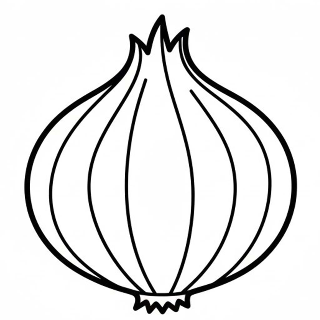 Cibule zdarma prostý omalovánka