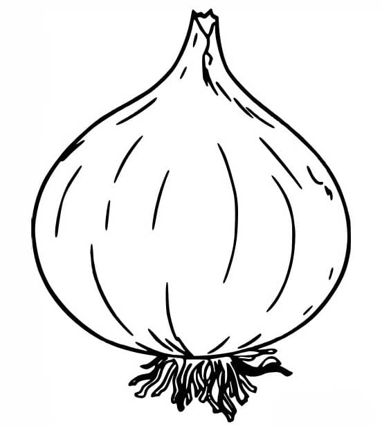 Cibule zdarma tisknutelné pro děti omalovánka