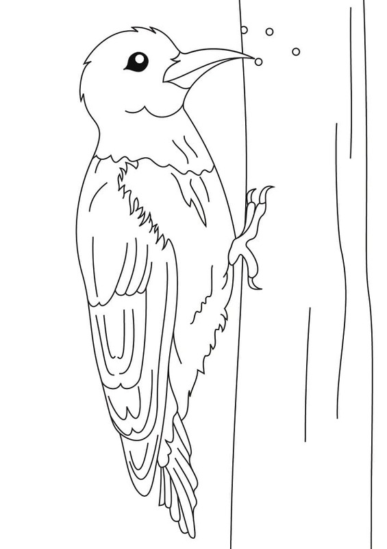 Datel zdarma prostý omalovánka