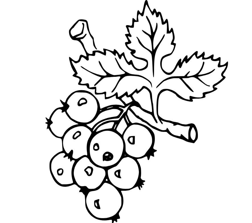 Nakreslete Borůvka pro děti omalovánka