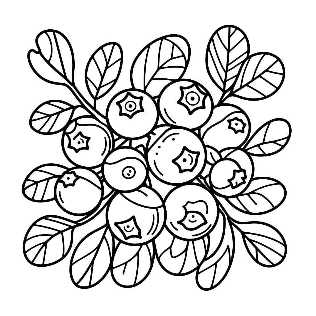 Nakreslete Borůvka prostý tisknutelné omalovánka