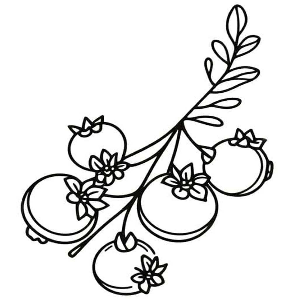 Nakreslete Borůvka snadný tisknutelné omalovánka