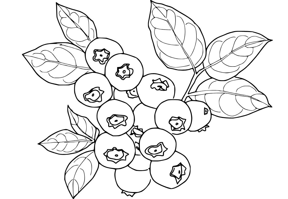 Nakreslete Borůvka snadný omalovánka