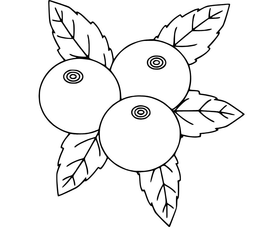 Nakreslete Borůvka tisknutelné pro děti omalovánka