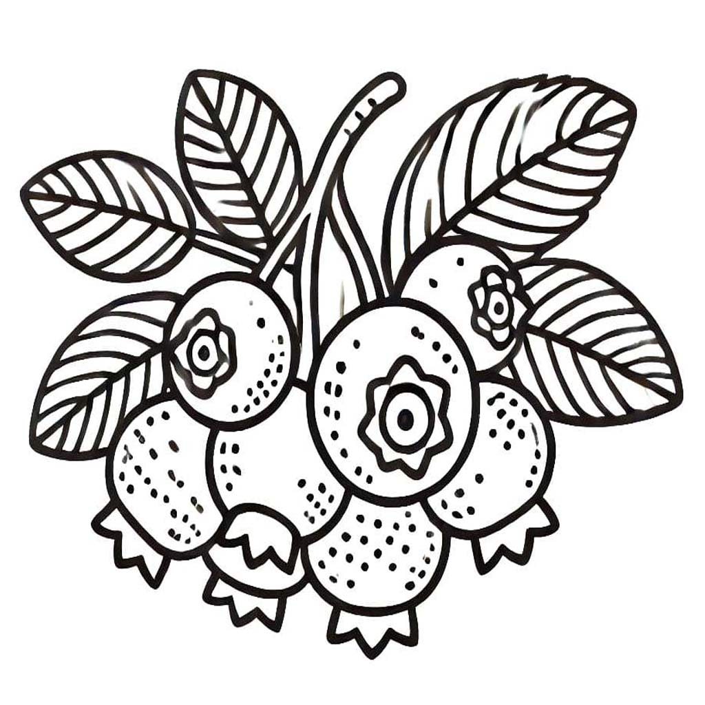 Nakreslete Borůvka základní tisknutelné omalovánka