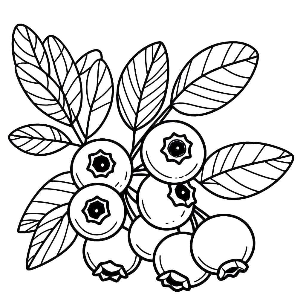 Nakreslete Borůvka zdarma prostý tisknutelné omalovánka