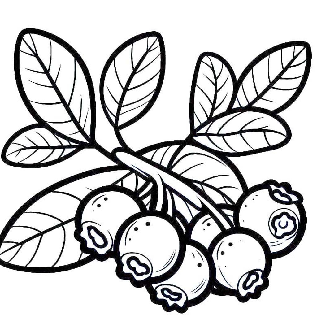 Nakreslete Borůvka zdarma snadný tisknutelné omalovánka