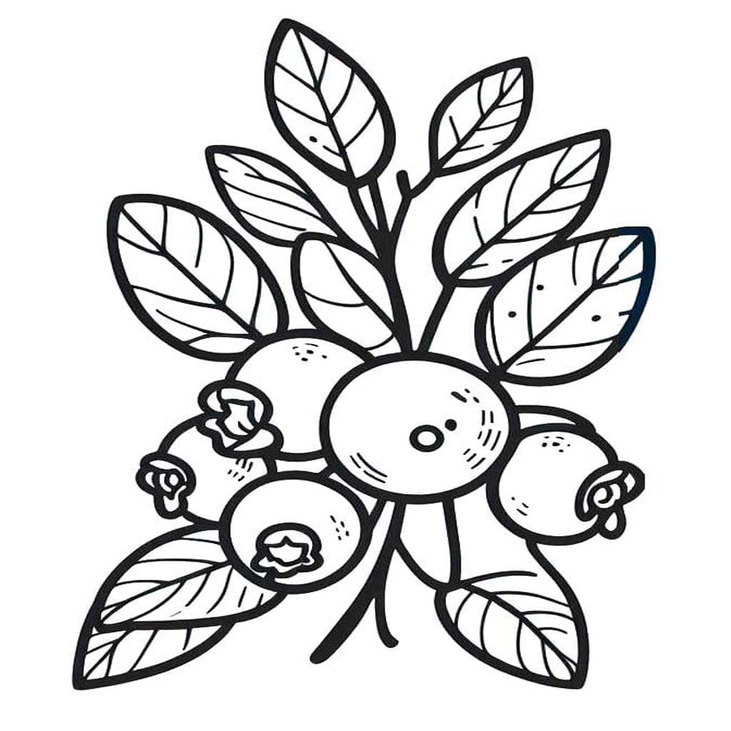 Nakreslete Borůvka zdarma snadný omalovánka