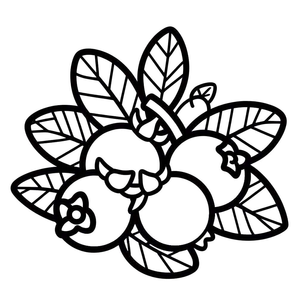 Nakreslete Borůvka zdarma omalovánka