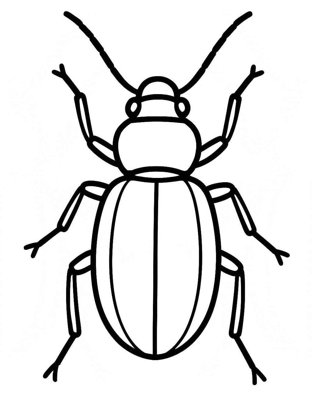 Nakreslete Brouci k vytisknutí zdarma omalovánka