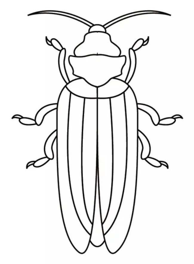 Nakreslete Brouci k vytisknutí omalovánka
