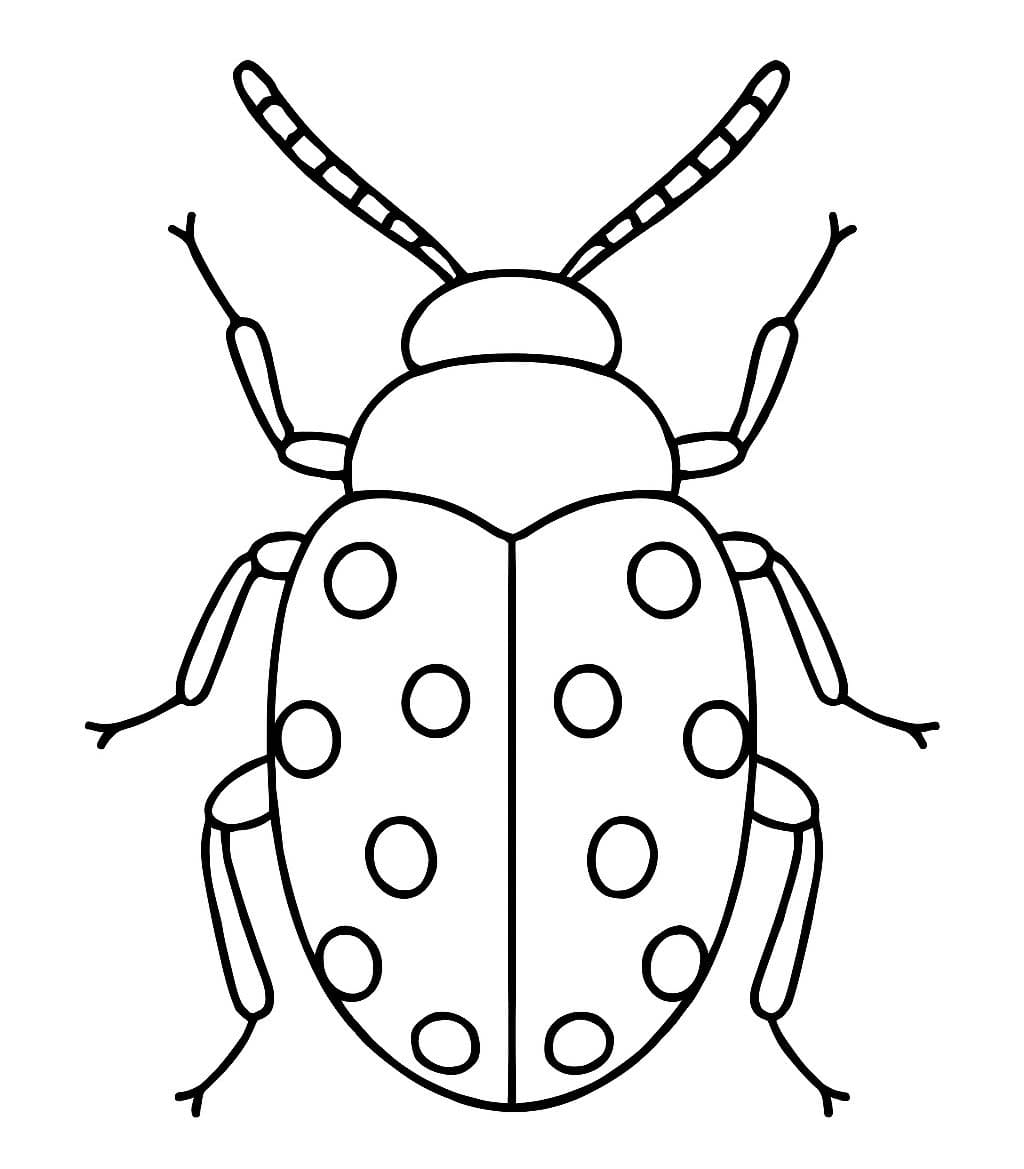 Nakreslete Brouci prostý tisknutelné omalovánka