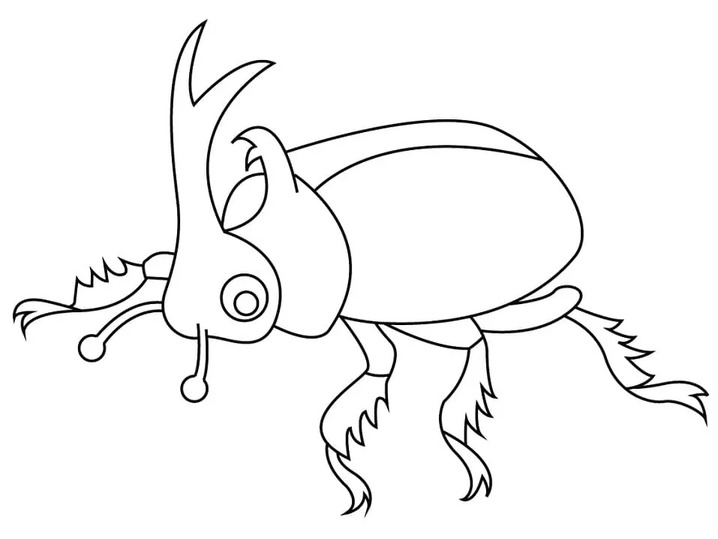 Nakreslete Brouci základní tisknutelné omalovánka