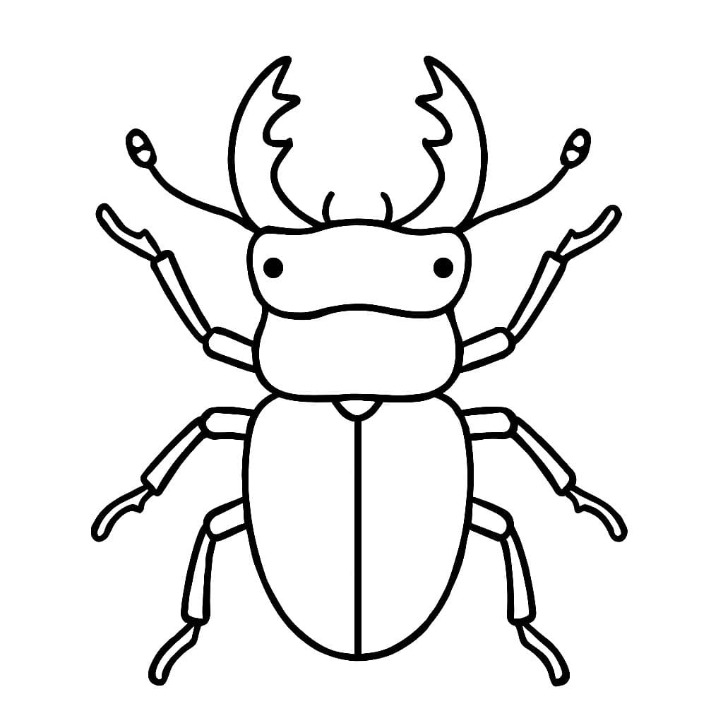 Nakreslete Brouci zdarma prostý tisknutelné omalovánka