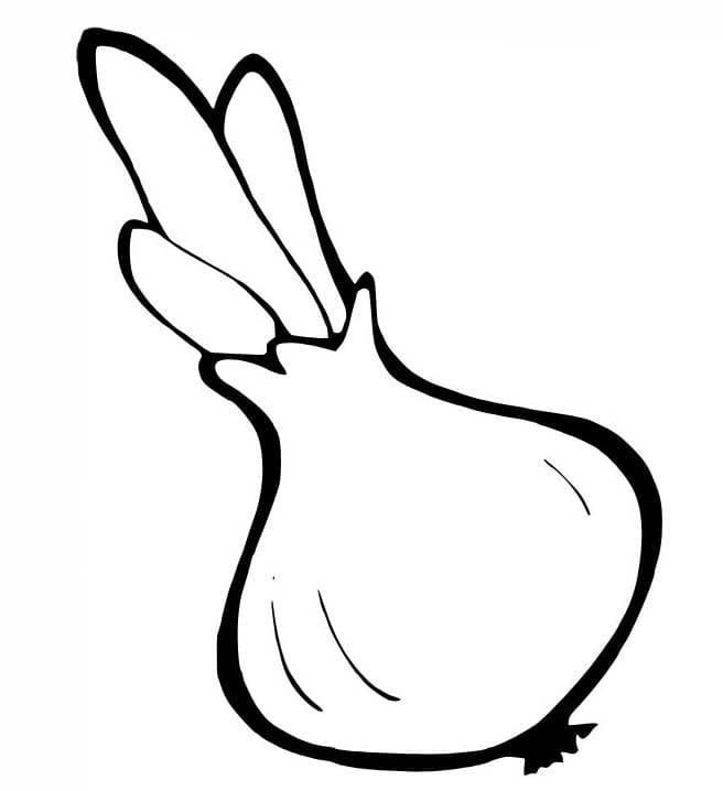 Nakreslete Cibule základní tisknutelné omalovánka