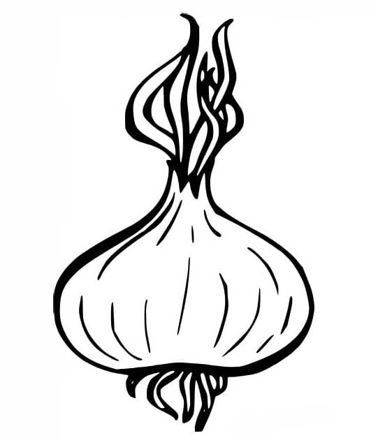 Nakreslete Cibule zdarma základní omalovánka