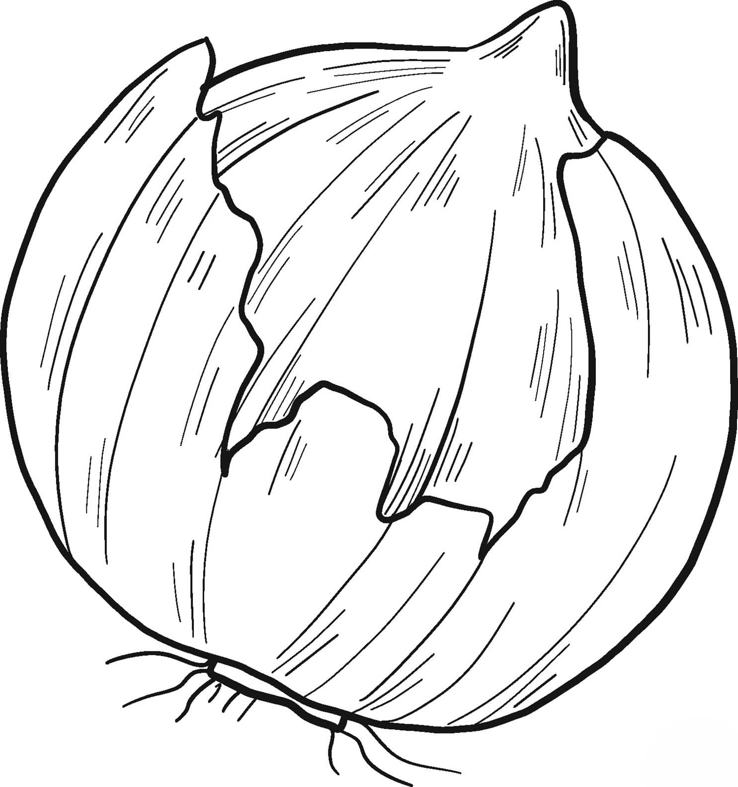 Nakreslete Cibule zdarma omalovánka