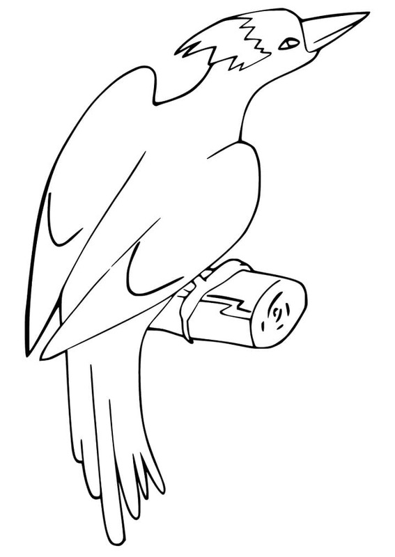 Nakreslete Datel základní tisknutelné omalovánka