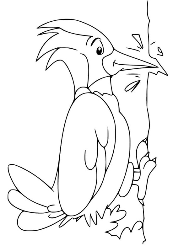 Nakreslete Datel zdarma základní omalovánka