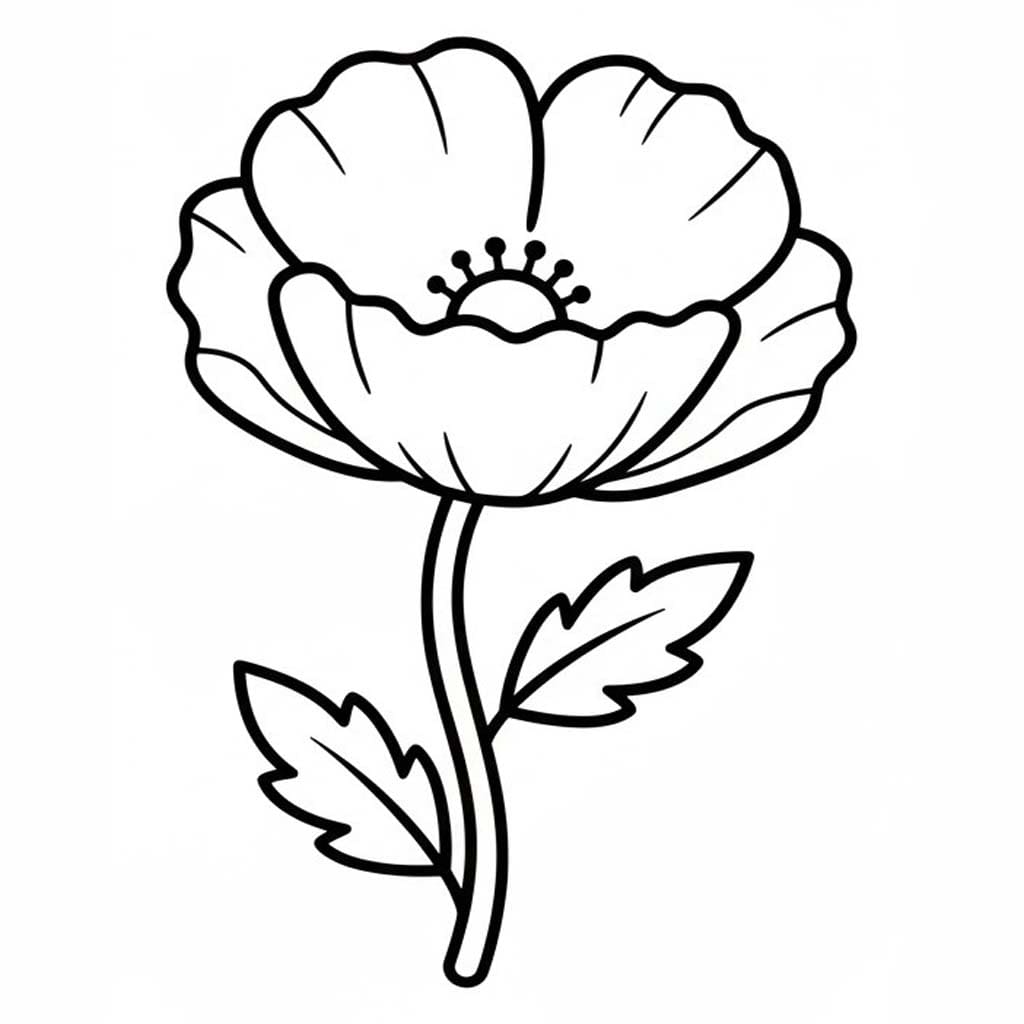 Nakreslete Mák 1 omalovánka