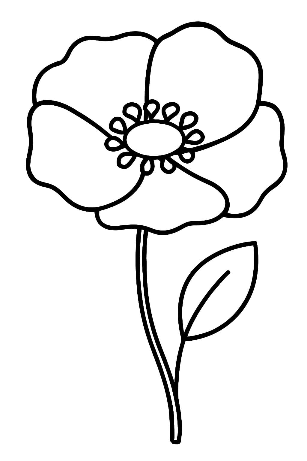 Nakreslete Mák 2 omalovánka