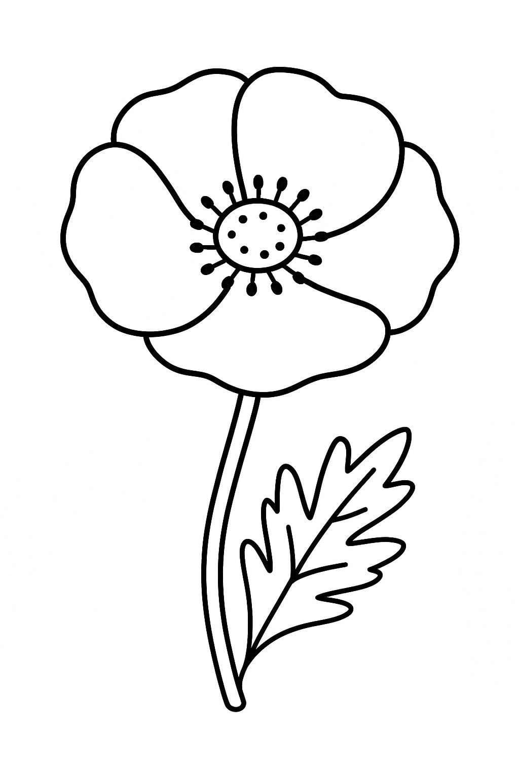 Nakreslete Mák 3 omalovánka