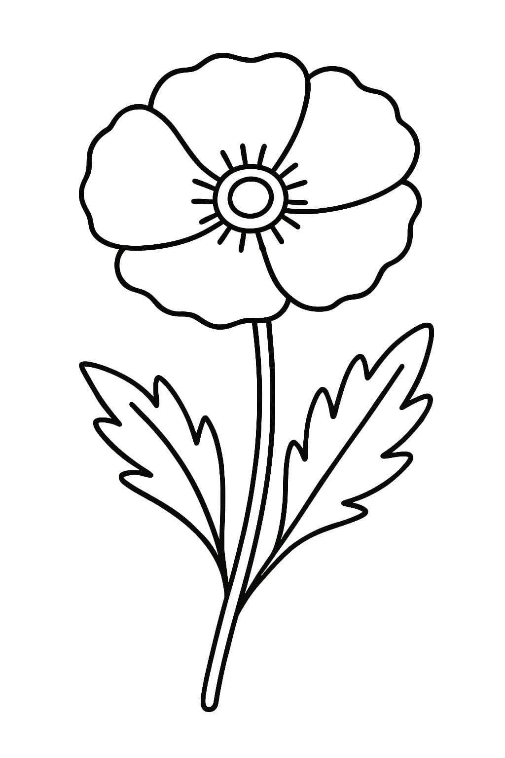 Nakreslete Mák 4 omalovánka