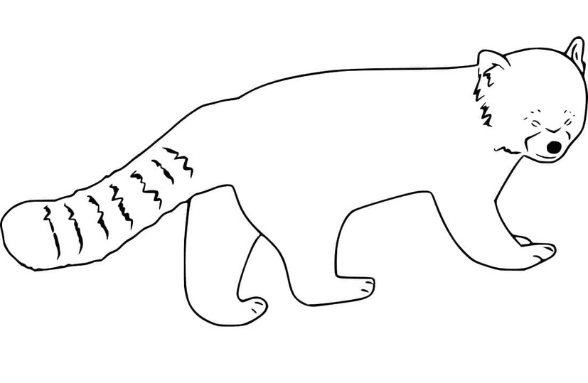 Nakreslete Panda červená zdarma prostý omalovánka