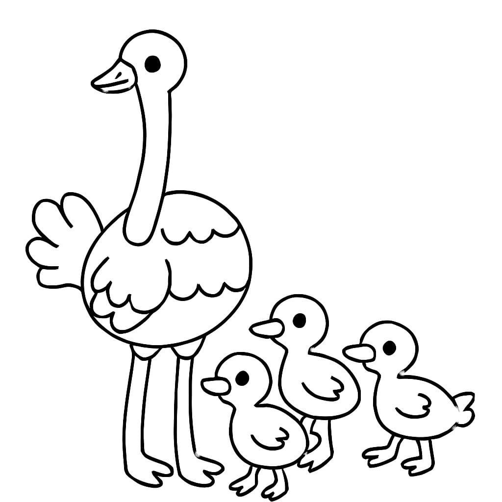 Nakreslete Pštros k vytisknutí zdarma omalovánka