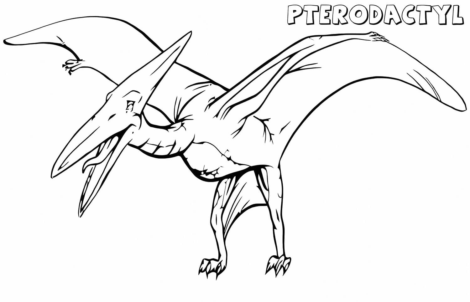 Nakreslete Pterodaktyl základní omalovánka