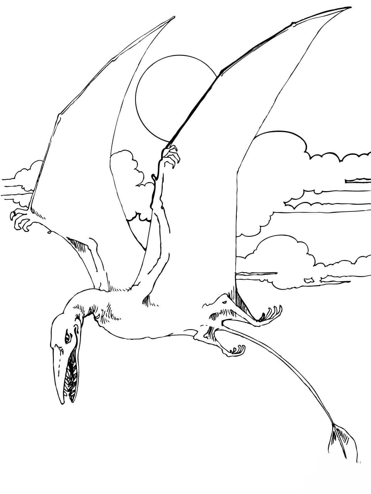 Nakreslete Pterodaktyl zdarma prostý omalovánka