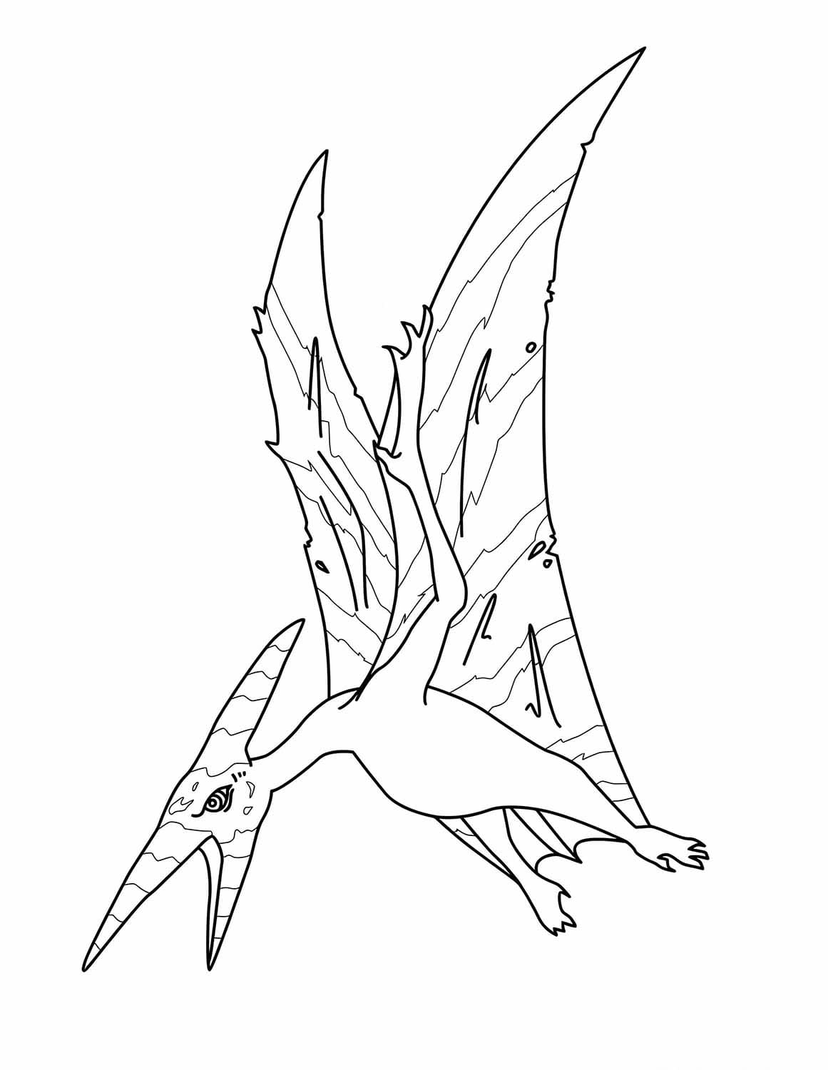 Nakreslete Pterodaktyl zdarma snadný tisknutelné omalovánka