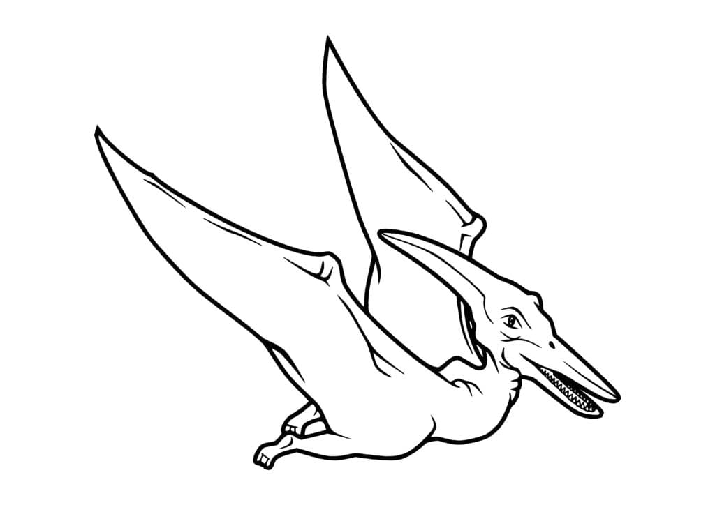 Nakreslete Pterodaktyl zdarma základní tisknutelné omalovánka