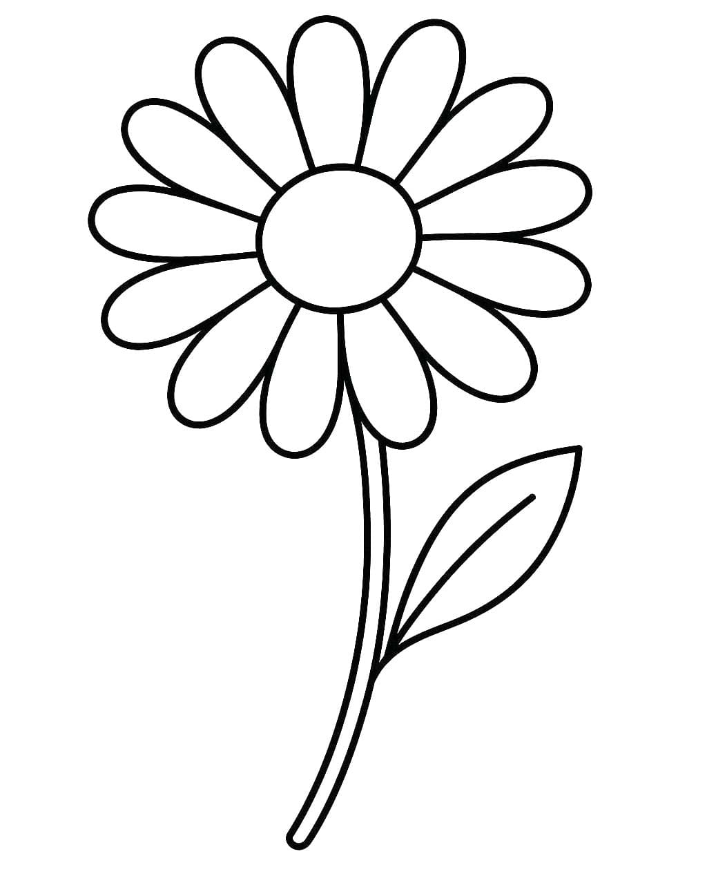 Nakreslete Sedmikráska snadný tisknutelné omalovánka