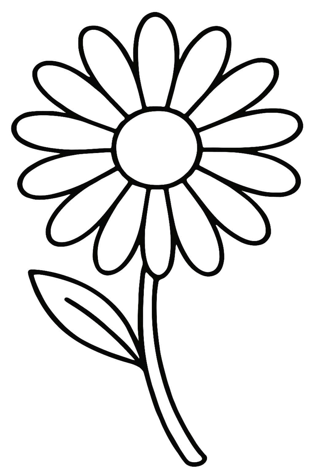 Nakreslete Sedmikráska základní tisknutelné omalovánka